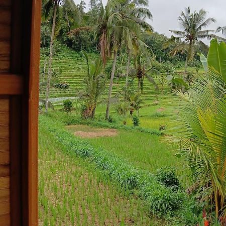 Lumbung Umaluah Villa Сидемен Екстериор снимка